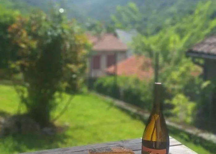 Au Chemin Du Cagire 別荘 *